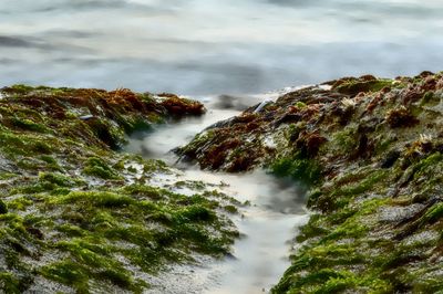 Scenic view of waterfall