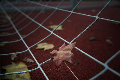 High angle view of a fence