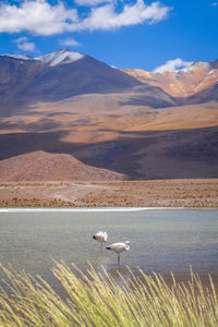 Scenic view of landscape and mountains against sky