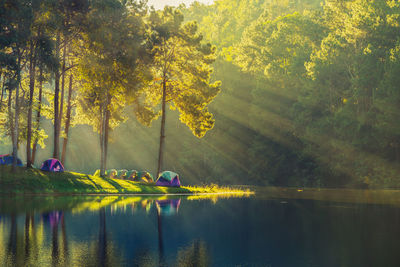 Scenic view of tent by lake amidst trees