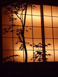 View of trees at sunset