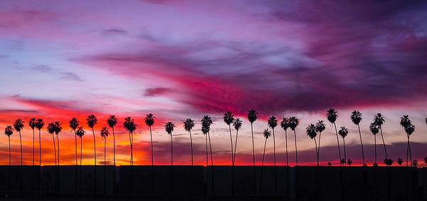Low angle view of silhouette trees against dramatic sky during sunset