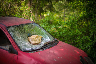 Close-up of abandoned car in forest
