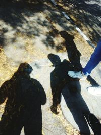 High angle view of people shadow on ground