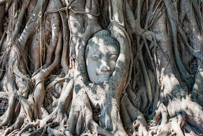 Statue of buddha in temple