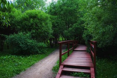 Boardwalk amidst plants and trees