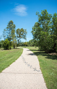 Footpath in park against blue sky