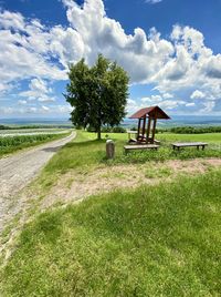 Trees on field against sky