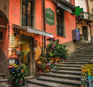 Footpath leading to building