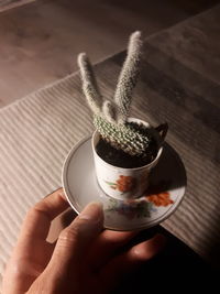 Midsection of person holding tea cup on table