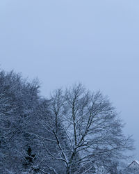 Low angle view of bare trees against clear sky