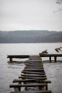 Pier over lake against sky
