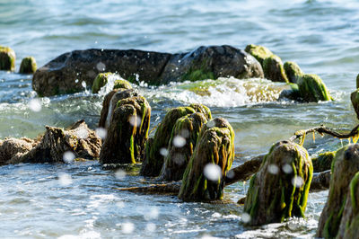 Close-up of rocks on beach