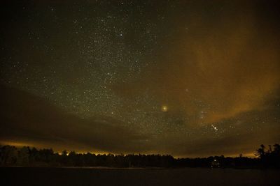 Silhouette trees against sky at night
