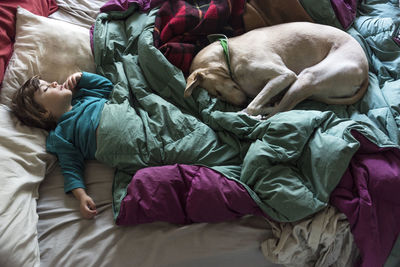 High angle view of dog sleeping on bed