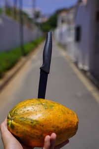 Close-up of hand holding apple