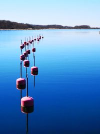 Scenic view of lake against clear blue sky