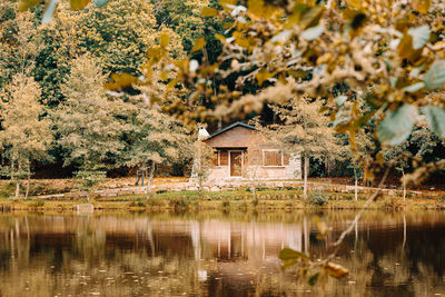 Plants by lake against trees and house