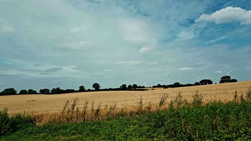 Scenic view of field against sky