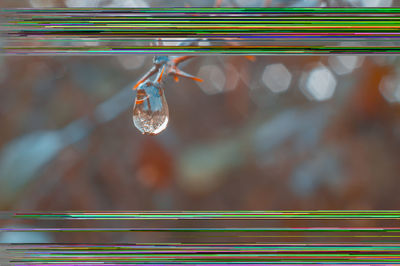 Close-up of water drops on glass