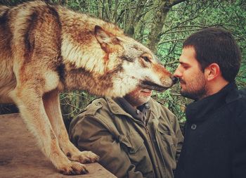 Side view of man interacting wolf in forest