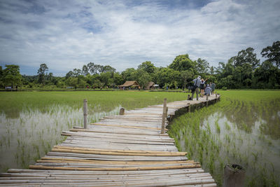 Footpath amidst grass against sky