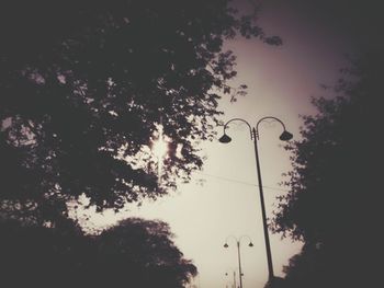 Low angle view of silhouette trees against sky