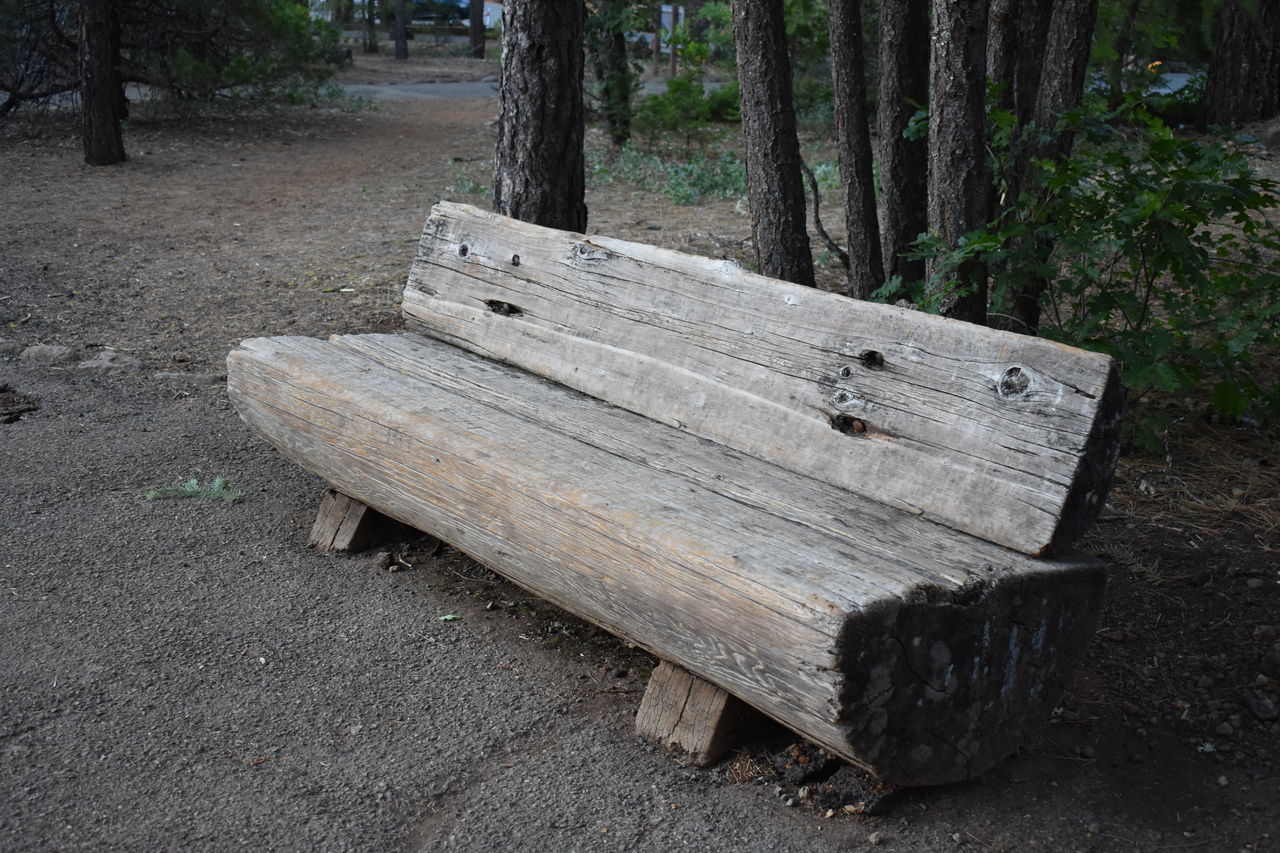 tree, wood, plant, tree trunk, trunk, land, forest, nature, bench, no people, day, furniture, outdoors, seat, park, tranquility