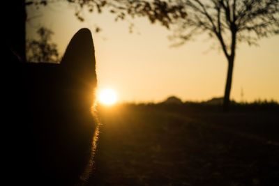Silhouette trees on field against sky during sunset