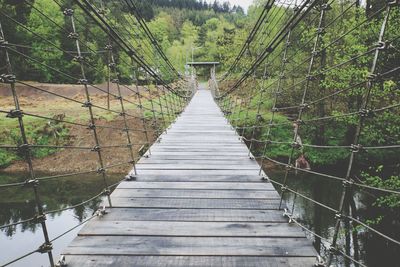 Footbridge amidst trees in forest