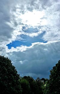 Low angle view of trees against sky