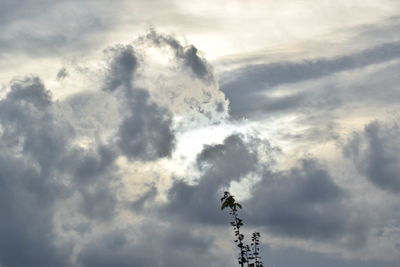 Low angle view of cloudy sky