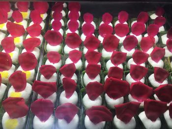 Close-up of red roses