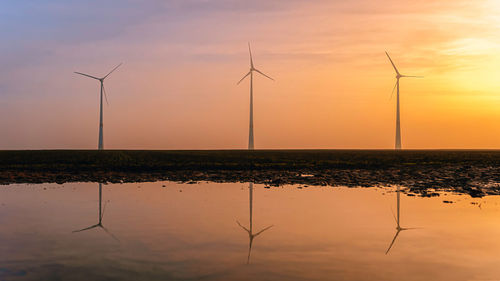 Cranes at sunset