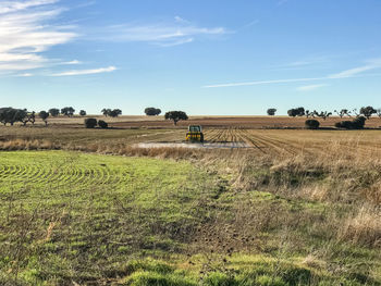 Scenic view of agricultural field against sky