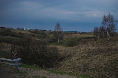 Trees on field against cloudy sky