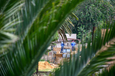 Panoramic view of people on palm tree by building