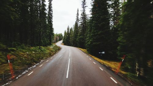 Road amidst trees against sky