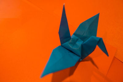 Close-up of yellow flower