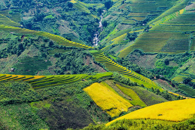 High angle view of agricultural field