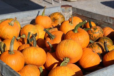 High angle view of pumpkins for sale at market