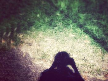Shadow of woman on grass