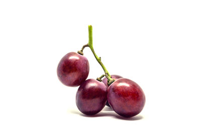 Close-up of cherries against white background