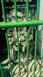 Close-up of green leaves