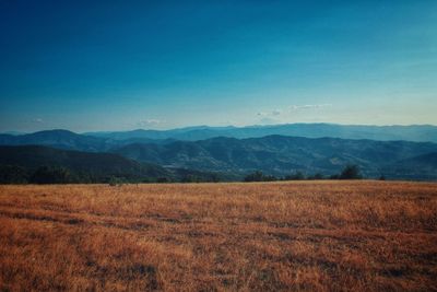 Scenic view of field against clear blue sky