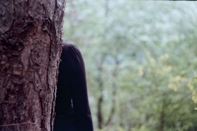 Rear view of person standing on tree trunk