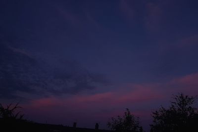 Low angle view of silhouette trees against sky at sunset