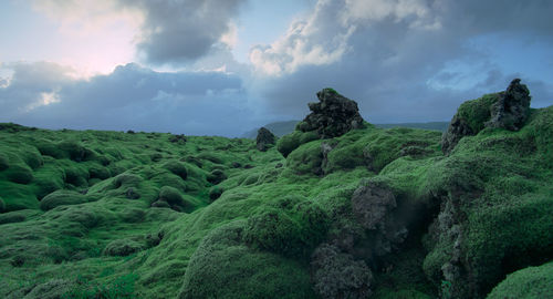 Panoramic view of landscape against sky