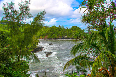 Scenic view of forest against cloudy sky