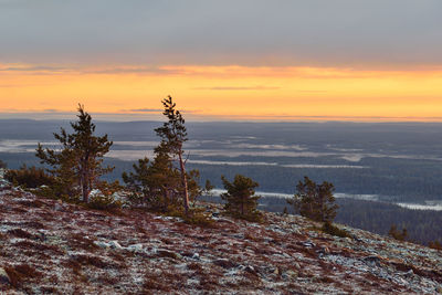 Scenic view of sunset